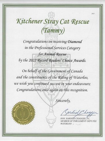 Diamond professional services for cat rescue in Kitchener waterloo