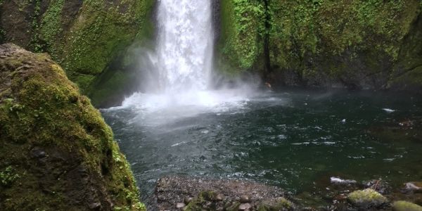 A serene waterfall flowing into a calm pool surrounded by mossy rocks.
