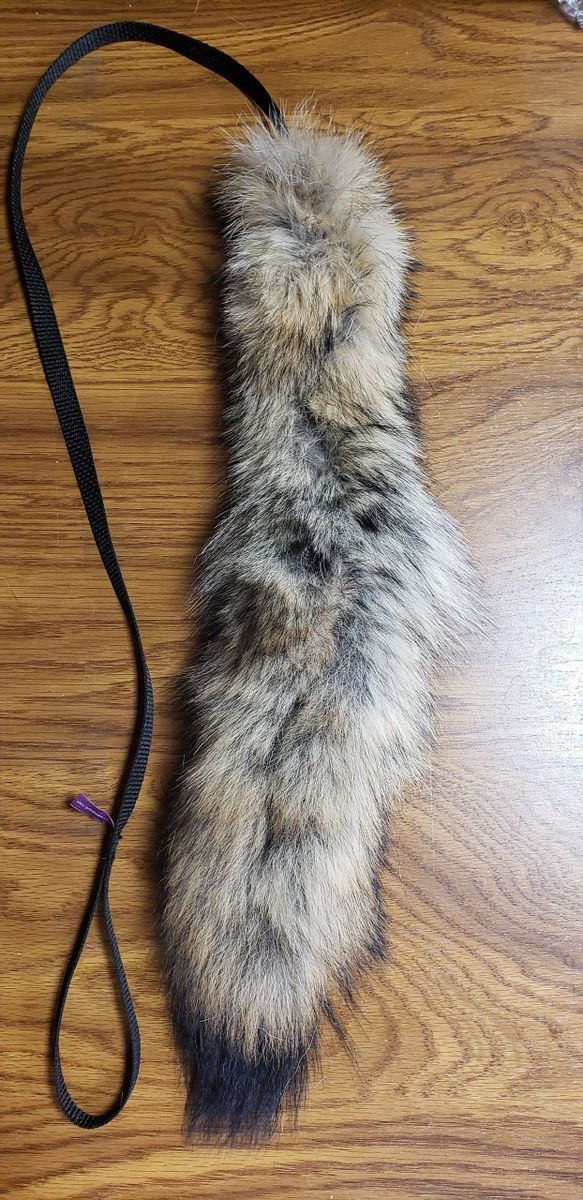 Coyote Tails on Lead