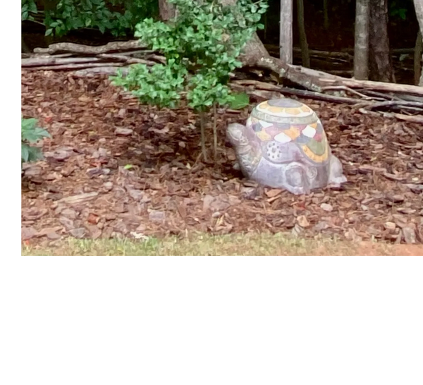 Cement turtle