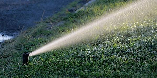 A sprinkler watering green grass on a lawn in daylight.