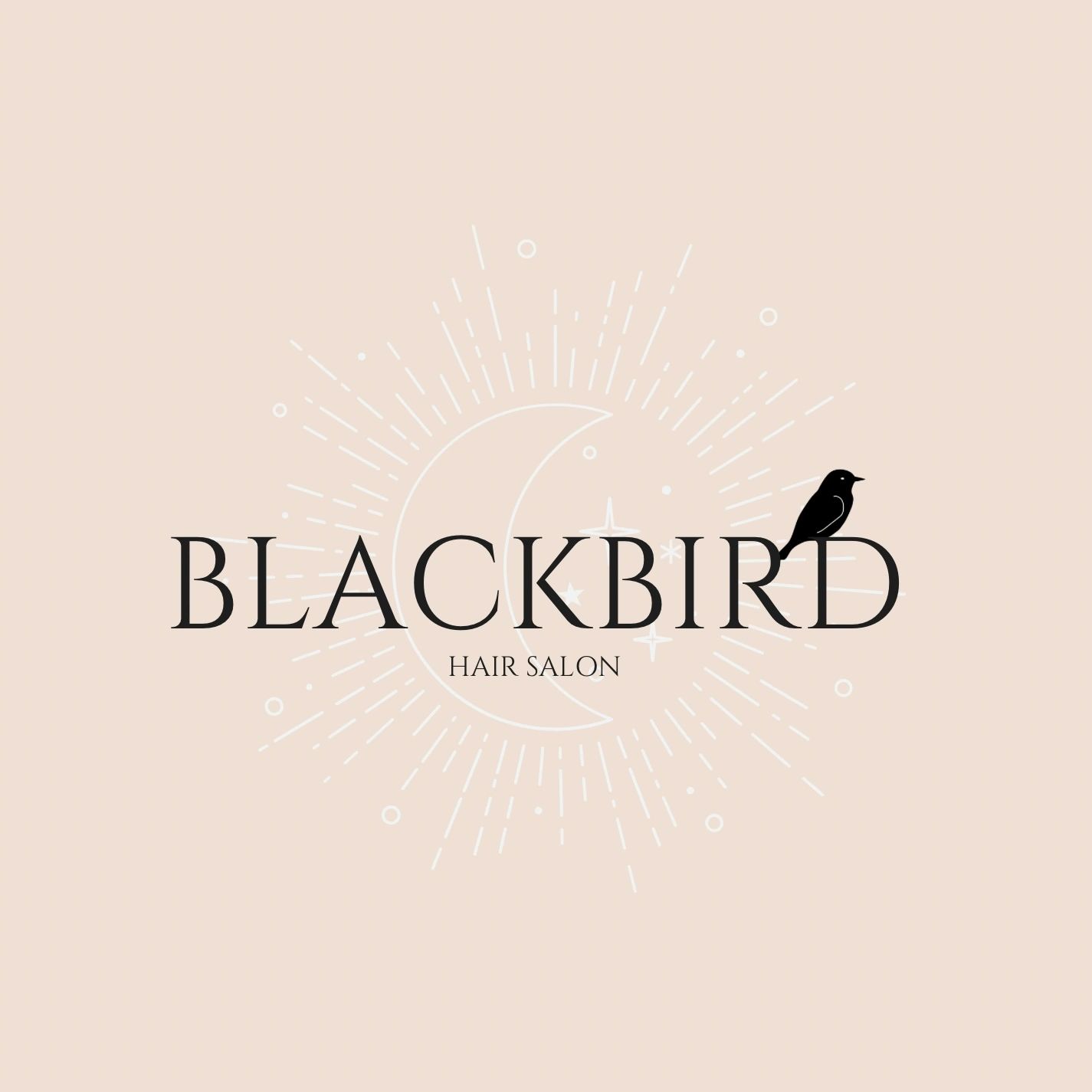 Black Bird Salon