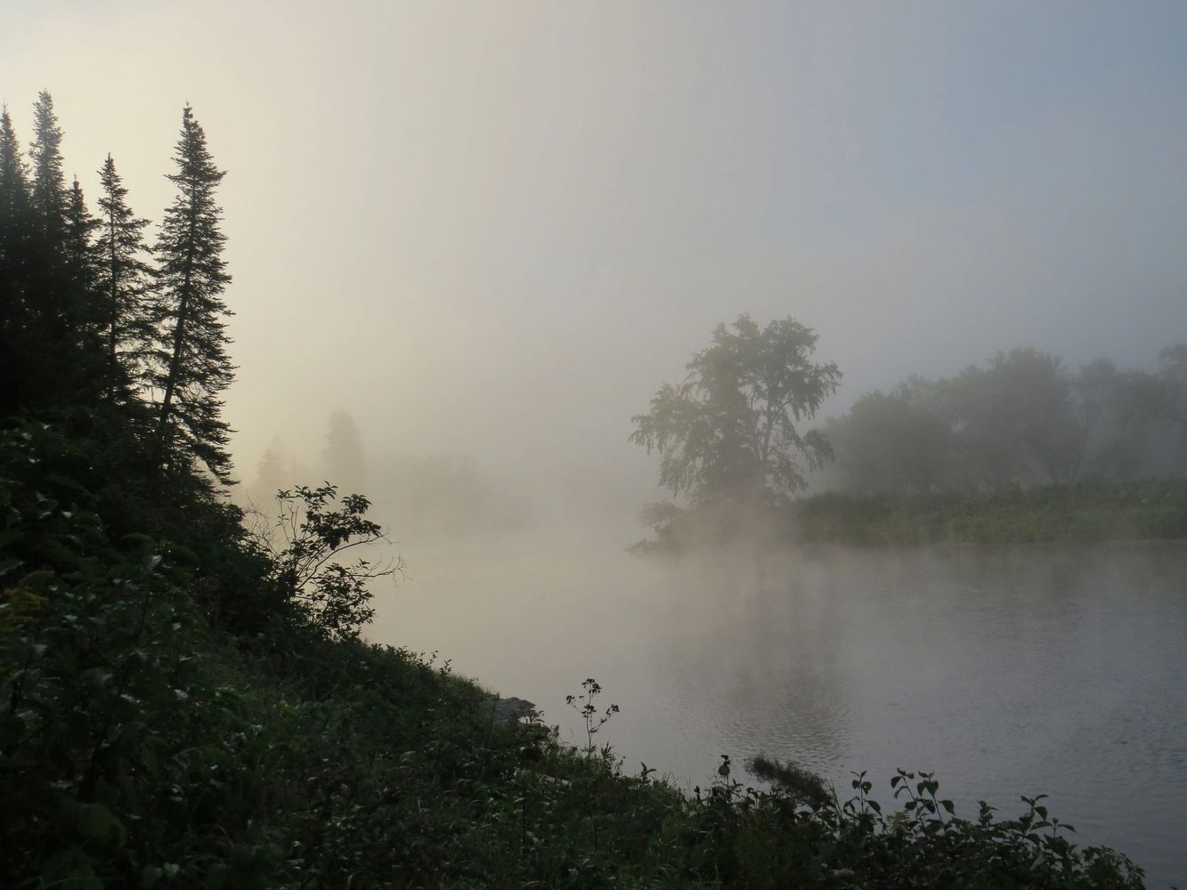 Misty morning on the Allagash River