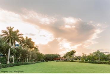 Photo of the Garden Lawn. 