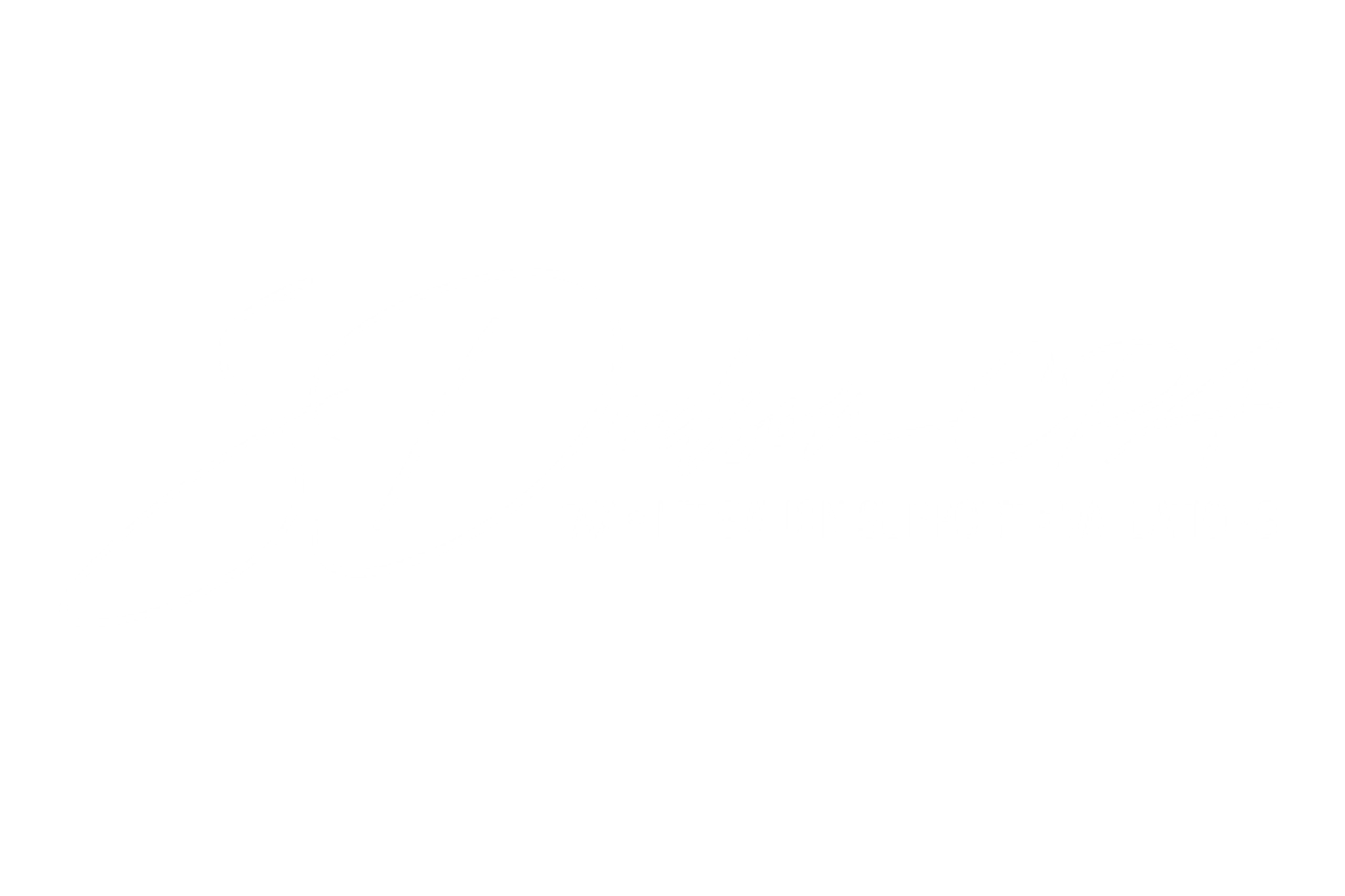 Shelli R. Dodson CPA