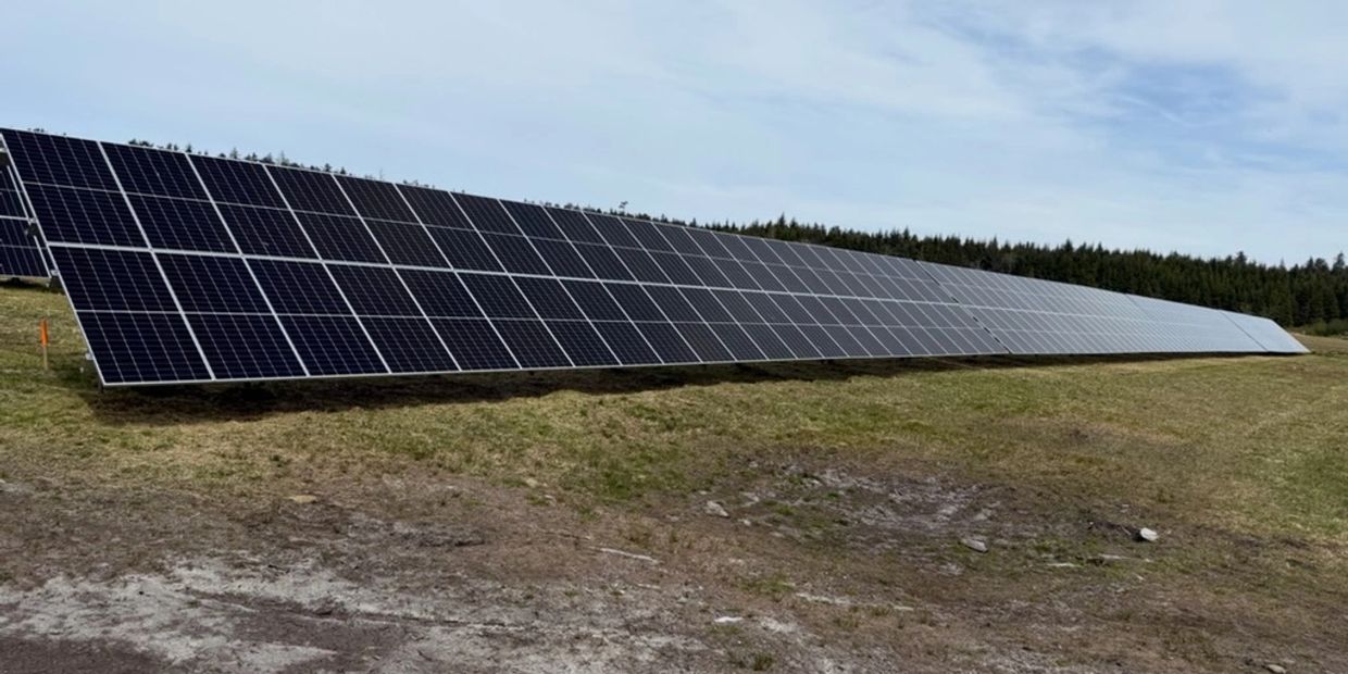 Solar panels in a field on a sunny day.