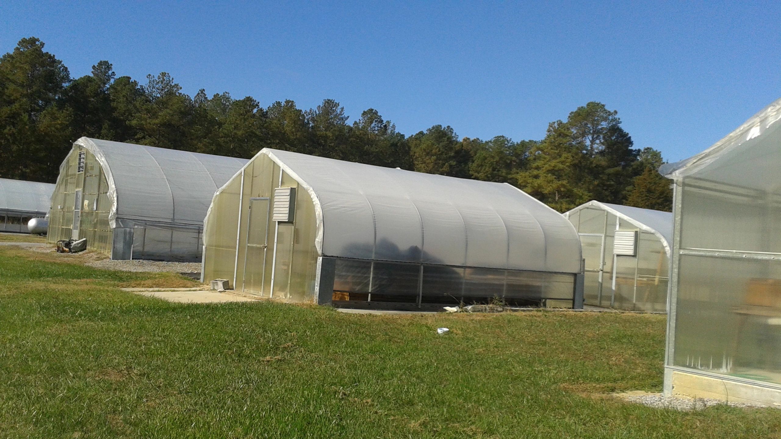 Greenhouse construction and recovering.