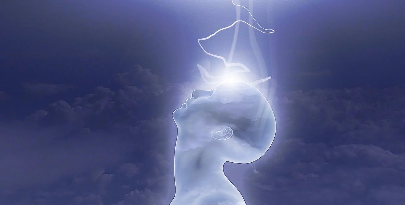 Take Control Of Your Body The Power Of Your Newly Discovered Sixth Sense - grbwu2z