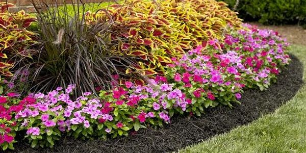 Mulch Installation with Black Mulch & Annual Flowers