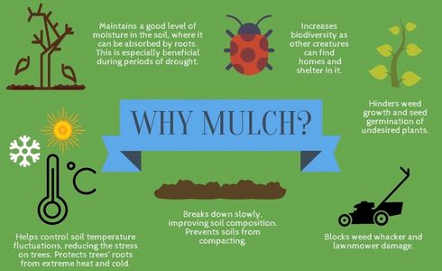 Why Much? Mulch Benefits, Mulch, Mulching, Mulch Installation, Landscape Mulch Installation