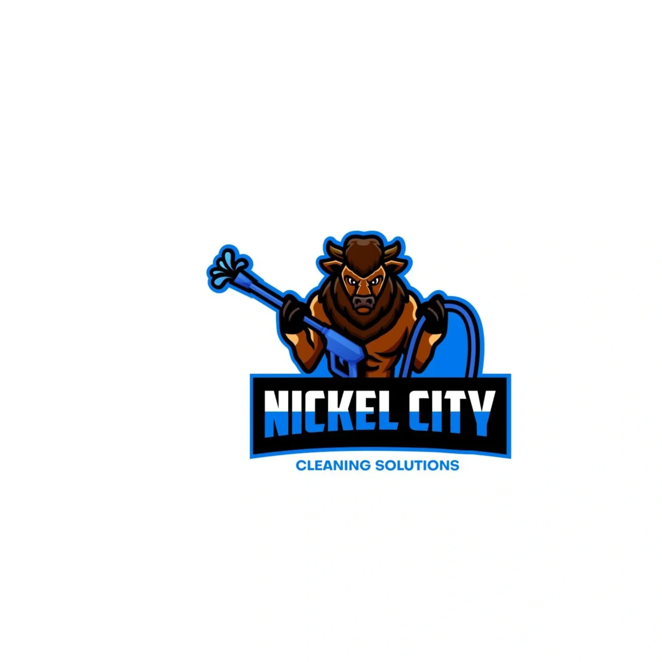 Nickel City Cleaning Solutions
