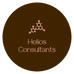Helios Consultants, LLC