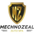Mechnozeal
steamautospa