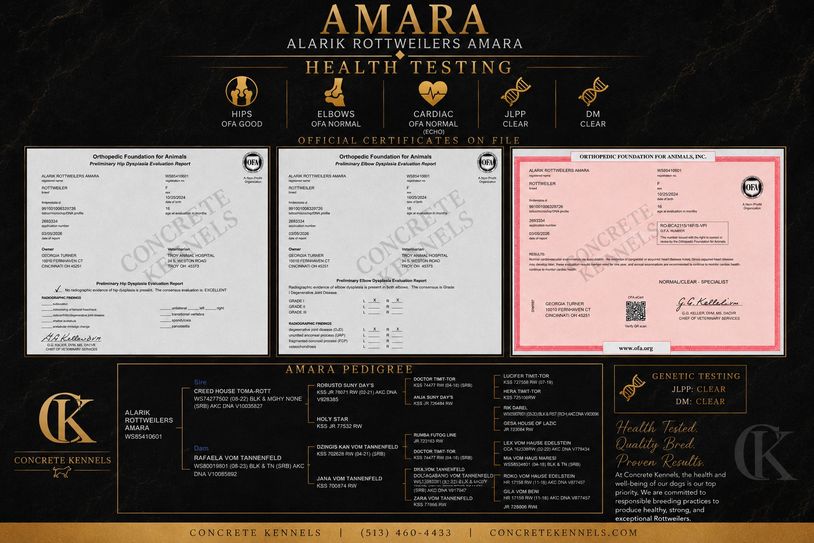 Health testing and pedigree certificates for Alarik Rottweilers Amara.