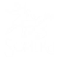 Sopilka Ukrainian Dance School