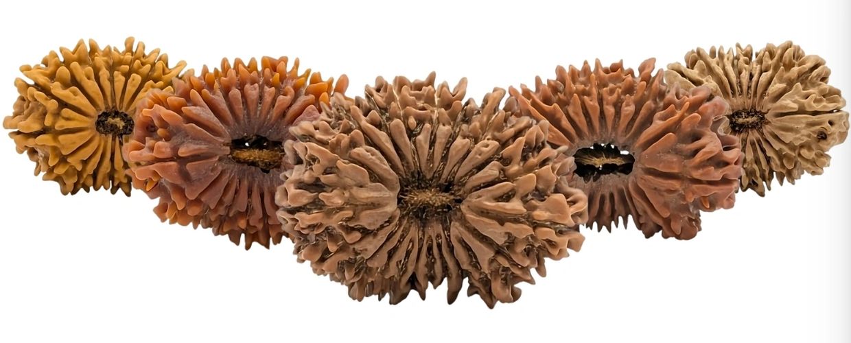 Black pencils in a gray holder next to a stack of white magazines with a camera in the background.