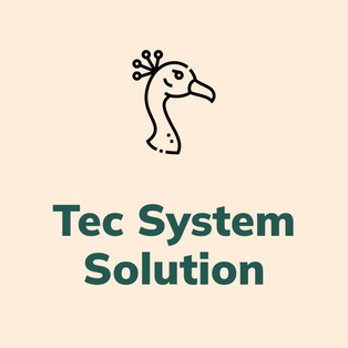 Tec System Solution