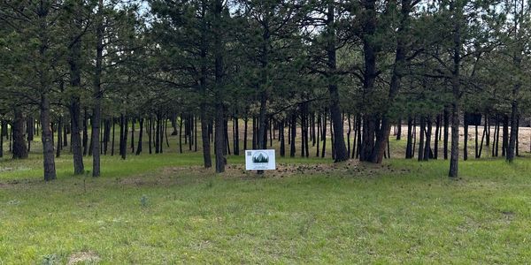 Proper defensible space prescription in front of an acre of fire mitigated property.