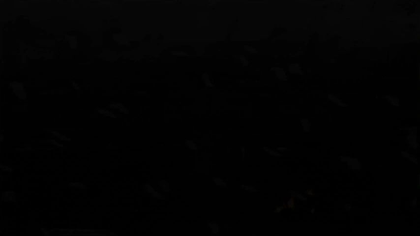 https://img1.wsimg.com/isteam/ip/a1e8e5c5-87b4-4385-9dc1-595597c20935/thumbnails/thumbnail-83d653de-0a87-488f-ac57-d5268d4db75f.png
