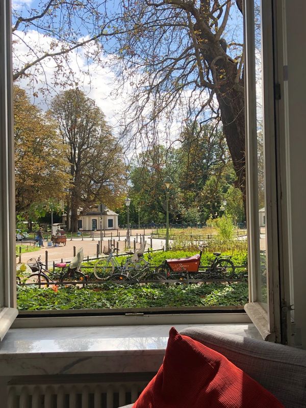 View from my premises to the nature outside.