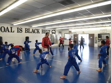 Martial arts instructor guiding students.
