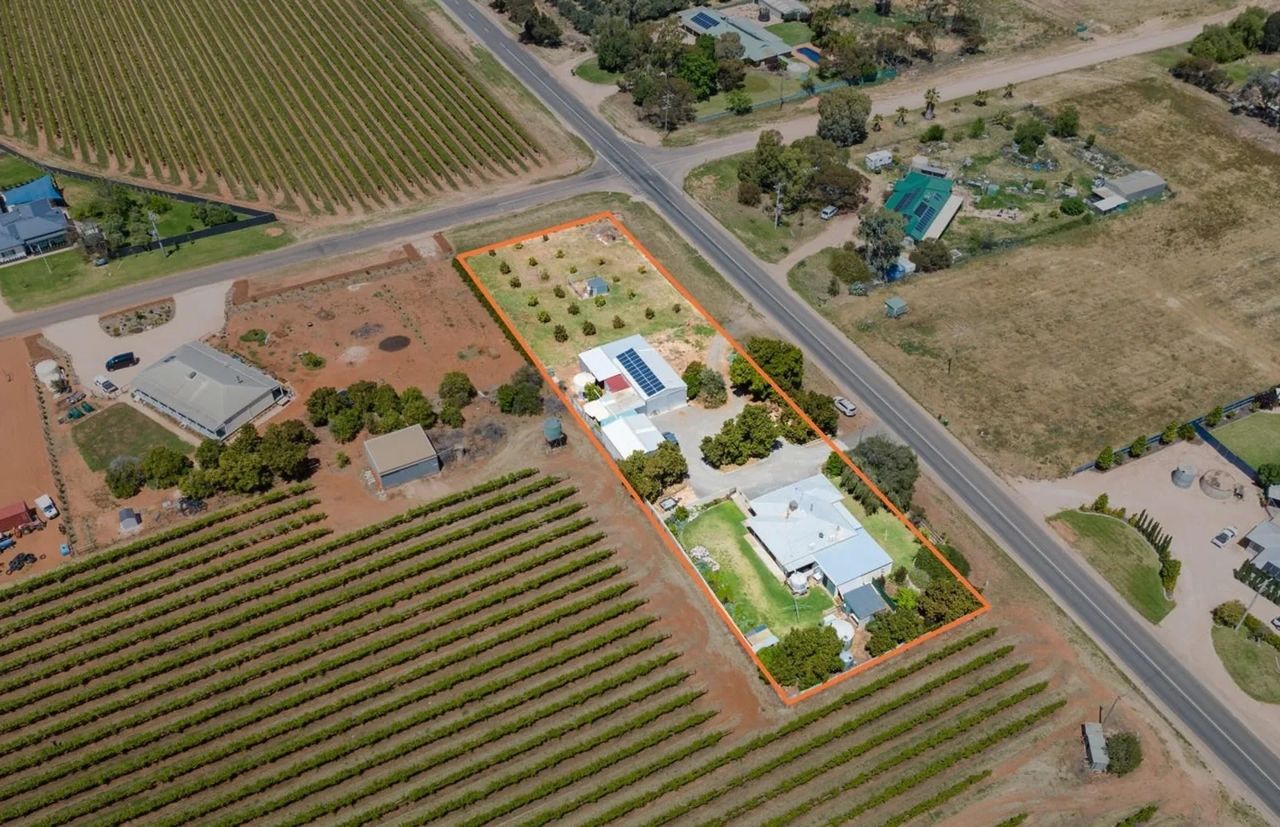 用一套公寓的价格买个农场