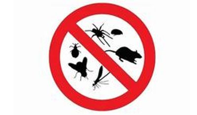 Pest Control in Coral Springs