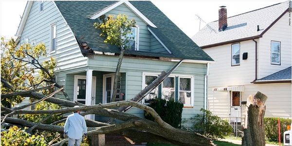 Tree fell on house causing damage