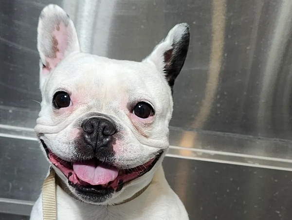 Spa Time - Bath and Pedicure Please!