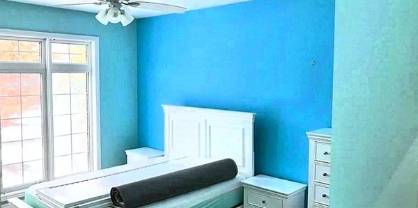 Fresh, Bright and Vibrant. 