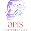 Opis Cybersecurity TM
