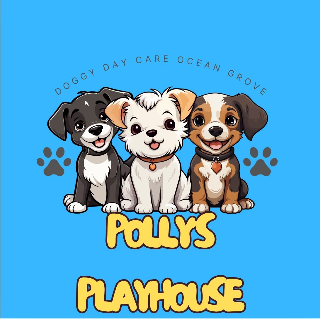 Ocean Grove Dog Day Care Polly’s Playhouse