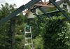New Arbor