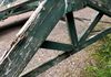 Old Arbor