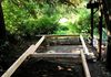 Tiny Cabin Build