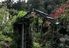 New Arbor