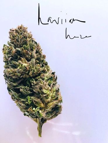 hawaiian haze