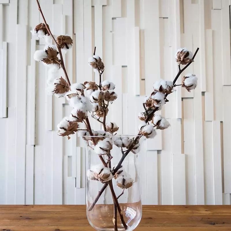 10 têtes de fleurs de coton Kapok naturel séché ( paquet de 18 pièces)