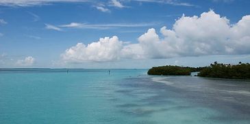 Everglades National Park ECO-Tour