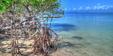 No stress and No worries when we're RELAXING at the SANDBAR