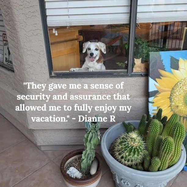 Pet Sitting Ahwatukee AZ Pawsitive Pets Sitter LLC