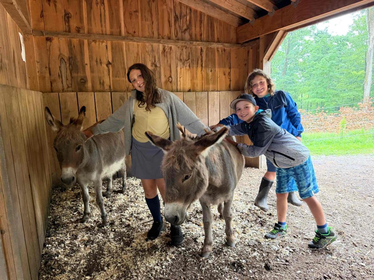 Three kids petting donkeys in a wooden shelter.