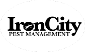 Iron city pest