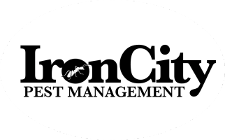 Iron city pest