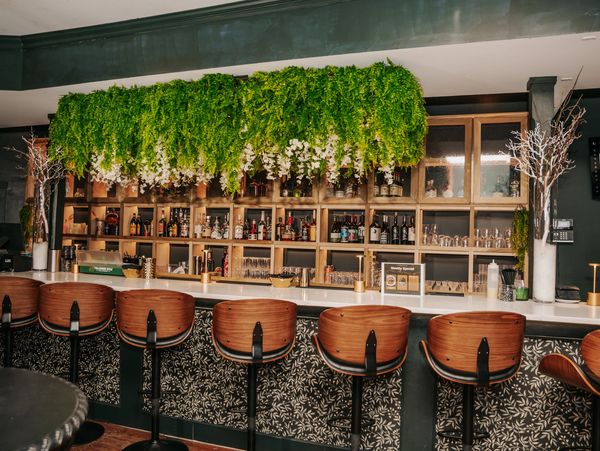 Stylish bar with wooden stools and lush greenery overhead.