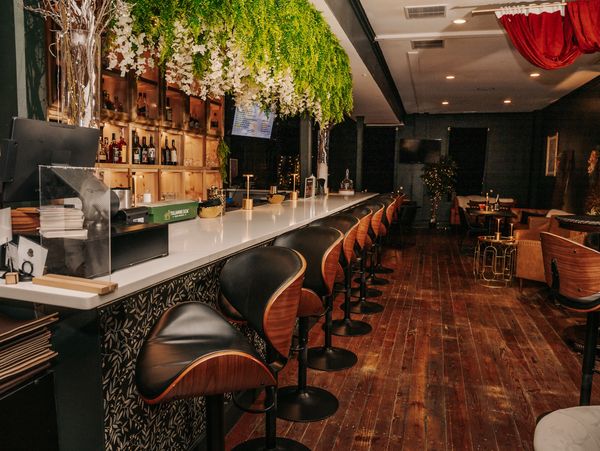 Modern bar with wooden stools and lush green hanging plants.