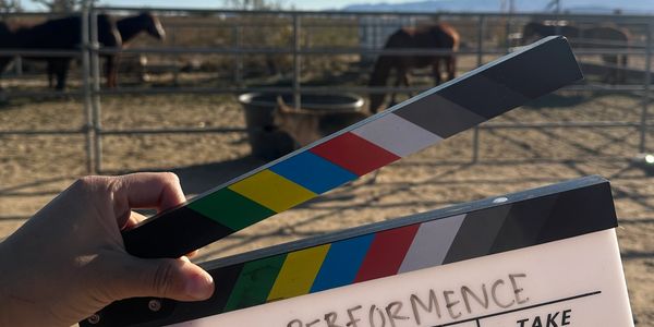 Film clapperboard held outdoors with horses in the background under a clear blue sky.