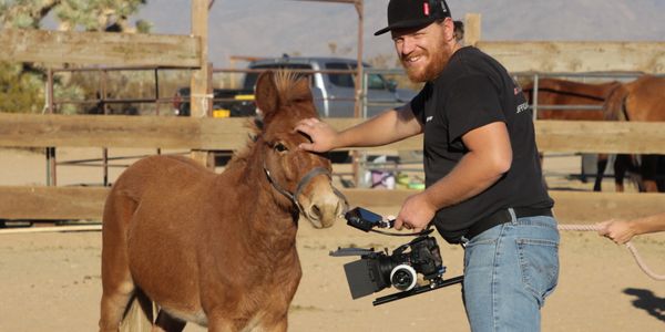 Man with camera petting a brown donkey in a fenced outdoor area.