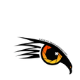 Eagle Eye Drone Idaho