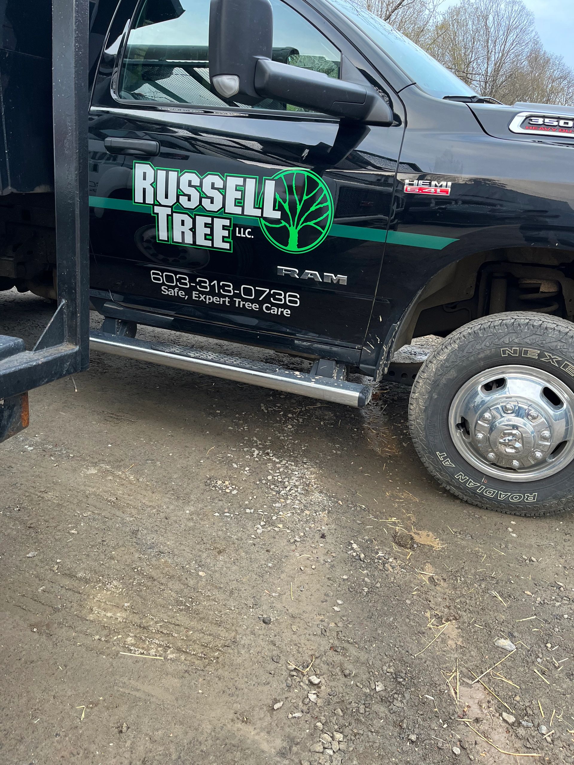 Russell Tree Llc 